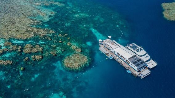 Cairns Magic Reef Great Barrier Reef 1-day tour with snorkeling, lunch, glass-bottom boat, and semi-submarine