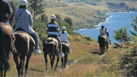 Tàu hơi nước TSS Queenstown New Zealand (nhiều gói lựa chọn)