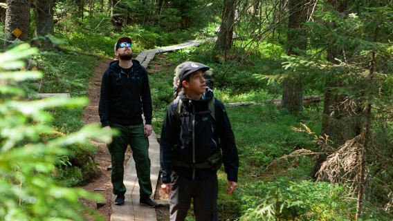 Helsinki: Pendakian Hutan Taiga yang Ajaib