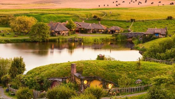 AucklandTours