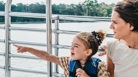 Hilton Head IslandTours