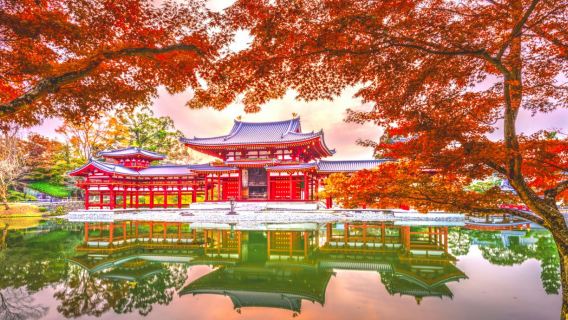 Osaka round-trip to Nara deer park, Uji matcha and Genji hot spring 1-day tour with ancient capital pilgrimage and free time