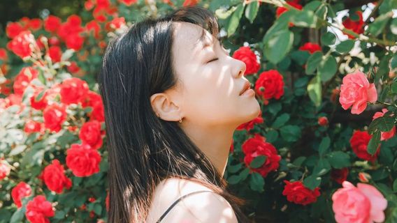 프놈펜