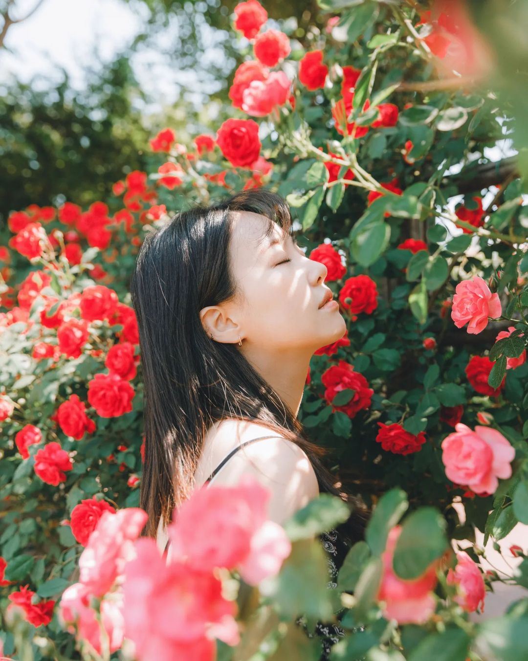 Trip Moments en Phnom Penh, Camboya[Conductor, guía y fotógrafo de Trip Moments + sesión de fotos de boda con dron y cortometraje + maquillaje y vestuario + itinerario personalizado + sin límite de personas]