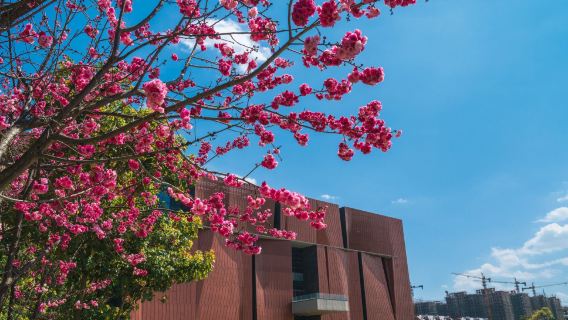 Kunming Custom private charter: Dianchi Lake + Haigeng Park + Guandu Ancient Town one-day tour/Chinese and English guide%