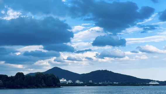 Nanjing: Niu Shou Mountain + attraction+ Confucius Temple + Presidential Palace one-day tour guide/ private charter G