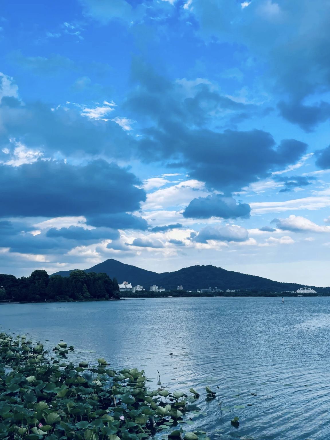 Nanjing: 1-day tour to Niushou Mountain Cultural Tourism Zone + Zhongshan Scenic Area + Confucius Temple + Presidential Palace with guide/private charter