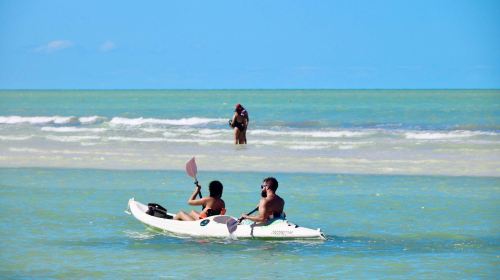 Dubai Attraction: Kayak Tour Day Tours 4