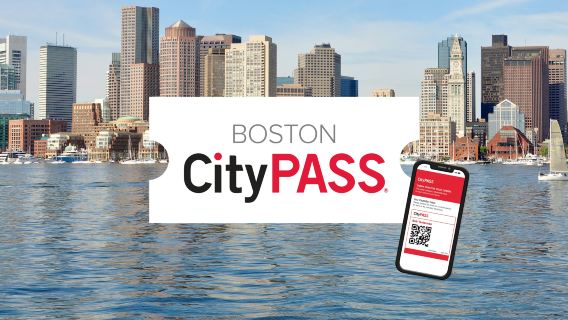 BostonTravel Services