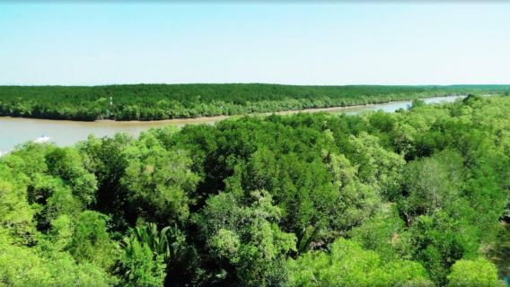 Can Gio and Monkey Island tour with lunch