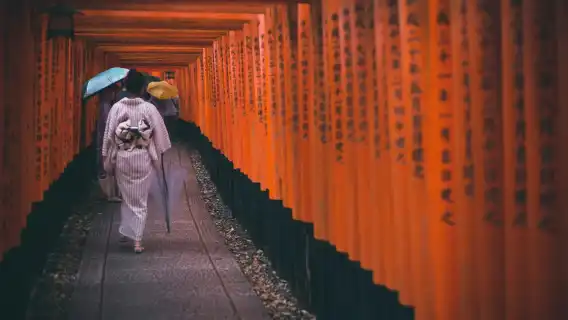 Kyoto & Nara & Uji World Heritage Day Tour: Nara Park & Fushimi Inari & Byodoin & Matcha Street