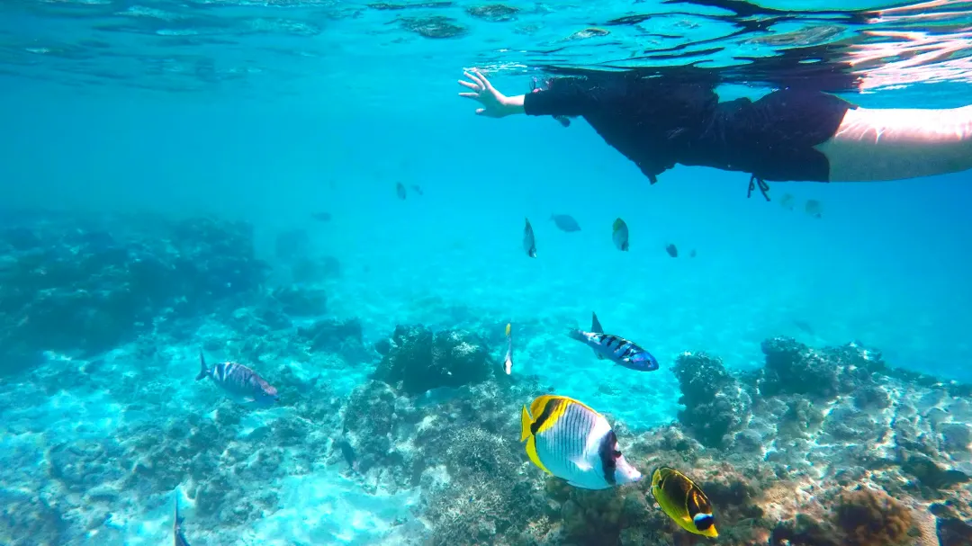 沖繩浮潛 | 沖繩慶良間諸島浮潛・體驗潛水半日遊(含香蕉船體驗)