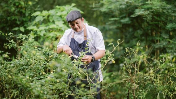 Alila Ubud Culinary Journey