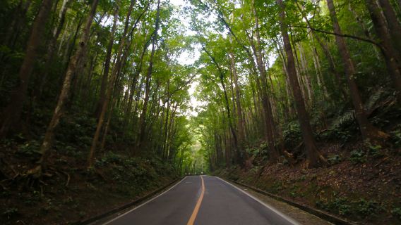 TagbilaranTours