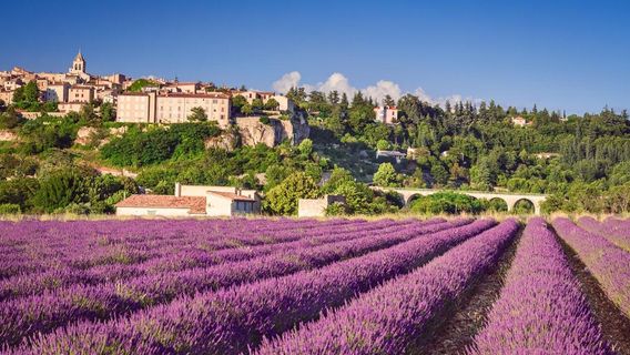 AvignonTours
