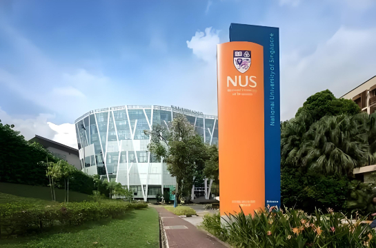Muzium Negara Singapura + Bot Itik + Universiti Teknologi Nanyang Singapura + Haji Lane + Bot Itik