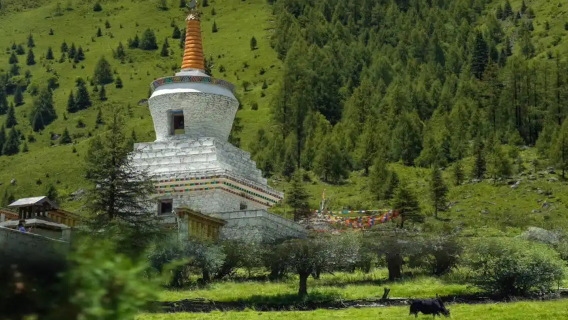 hướng dẫn viên địa phương tại Ganzi, dịch vụ thuê xe riêng, đón tiễn sân bay, hỗ trợ du lịch triển lãm, khảo sát thương mại và đi kèm khám bệnh