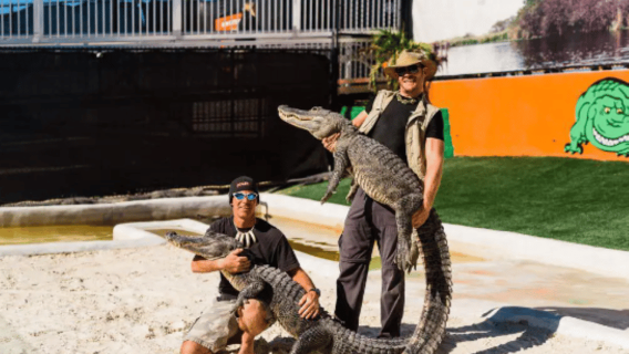 Miami Beach: Everglades Airboat Tours and Rides