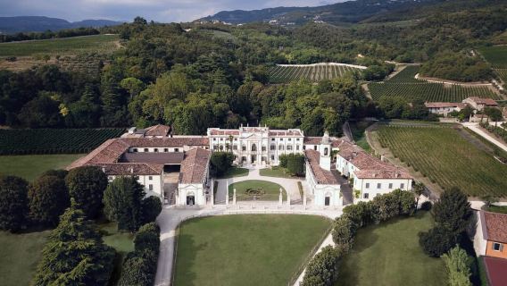 Valpolicella: visita guidata e degustazione di vini Amarone Chateau