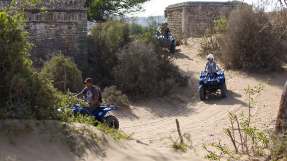 From Essaouira: Beachside Quad Bike Tour with Transfer