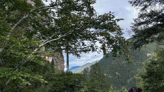 Trabzon: Sümela Monastery and Hamsiköy Tour