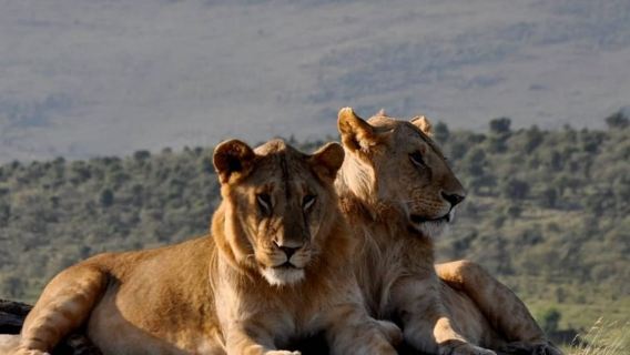 2 DAYS TO TAITA HILLS GAMES SANCTUARY