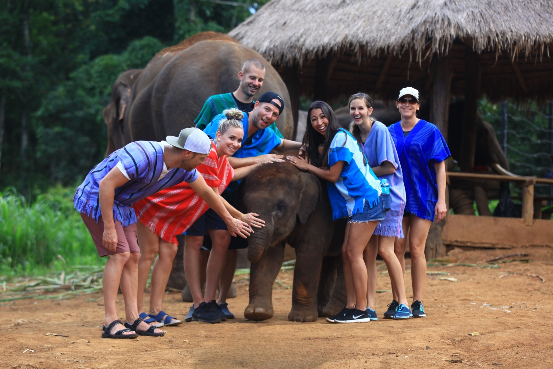 Patara Elephant Farm one-day tour in Chiang Mai, Thailand [Elephant Caretaker Experience]