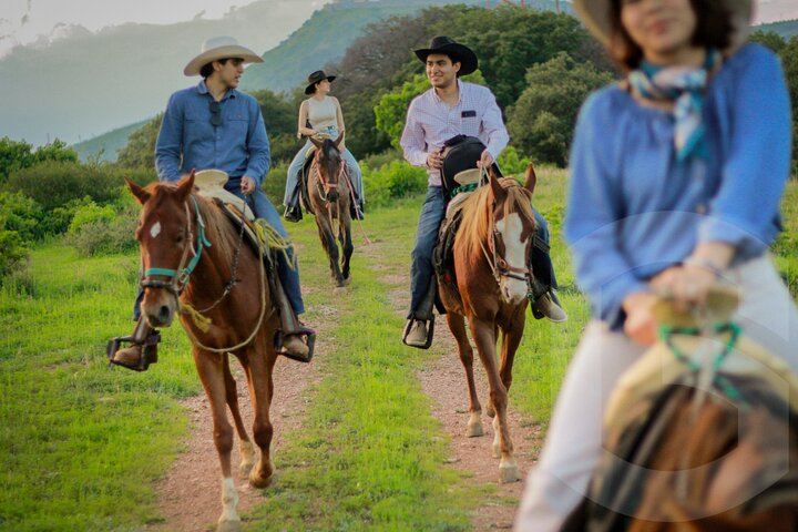 Passeggiate a cavallo sulle colline di Guanajuato