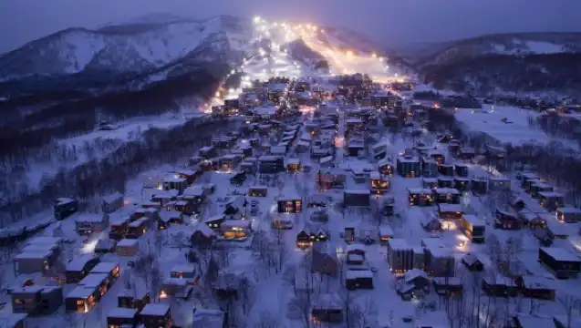 【櫻花之旅】北海道機場接送服務  四選一服務