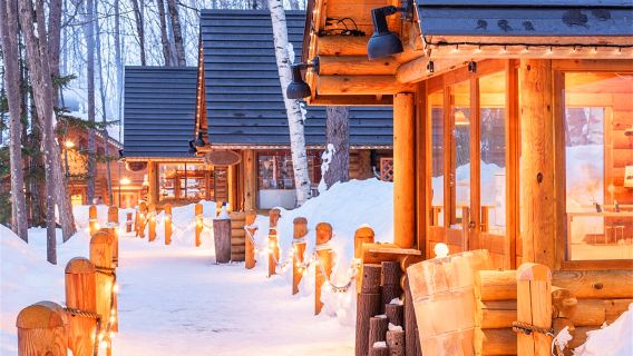 Zoo d'Asahiyama à Hokkaido + Étang bleu + Chutes de Shirahige + Visite de la terrasse des fées (billet zoo inclus)