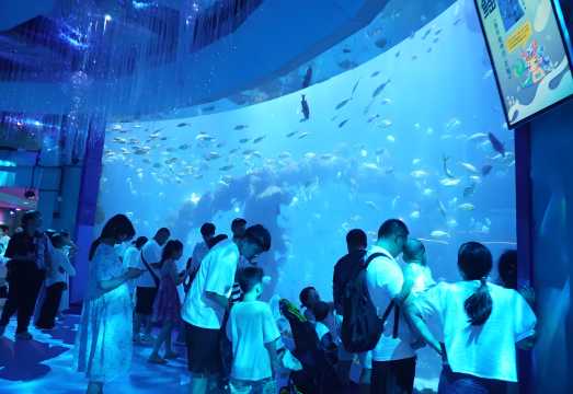 Underwater World tunnel