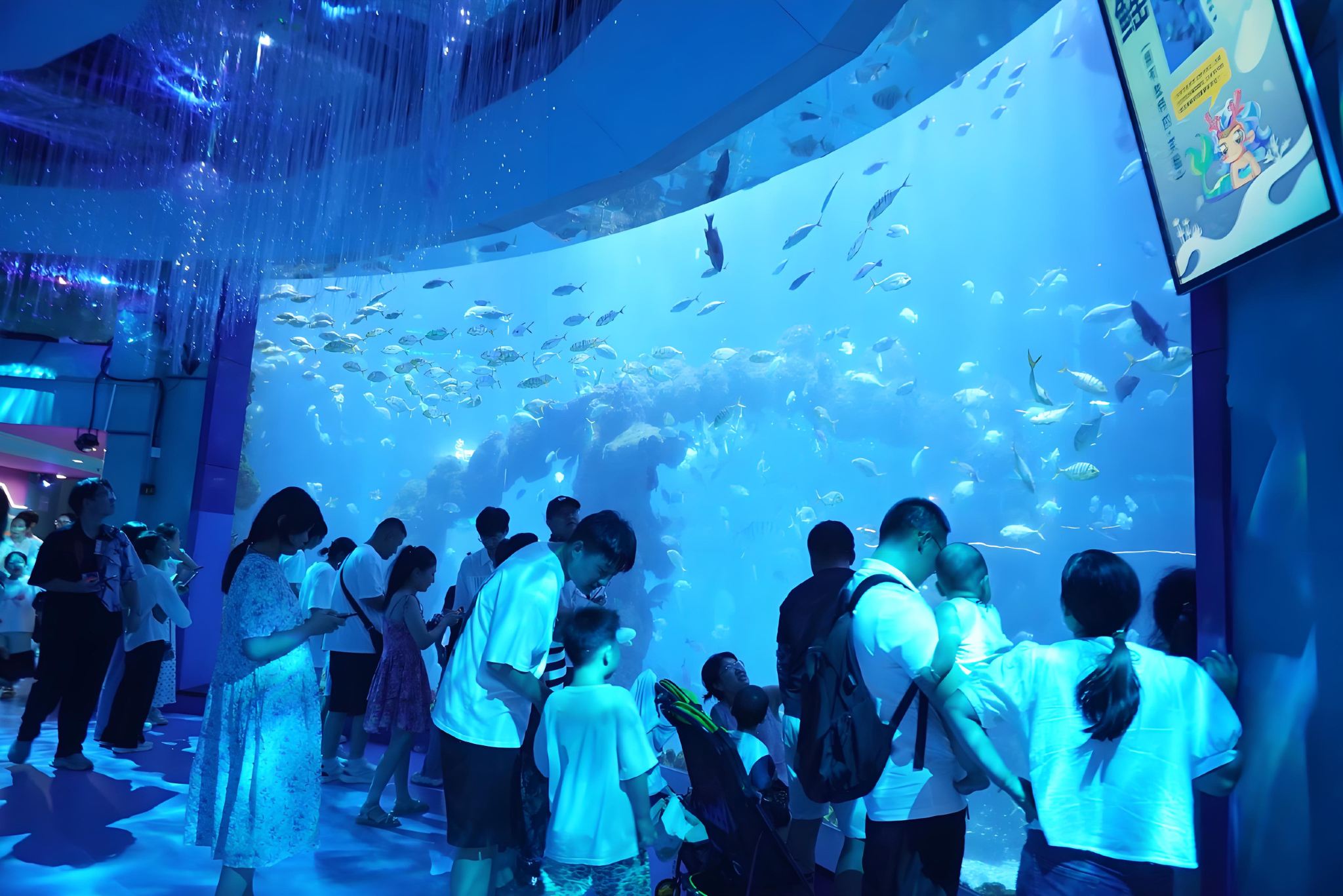 Qingdao Underwater World Half-Day Tour: 86.2-meter Undersea Tunnel Deep Sea Wonder