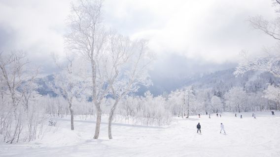 北海道札幌国際プライベートスキーレッスン【国際認証プロコーチ|中国語/英語対応】