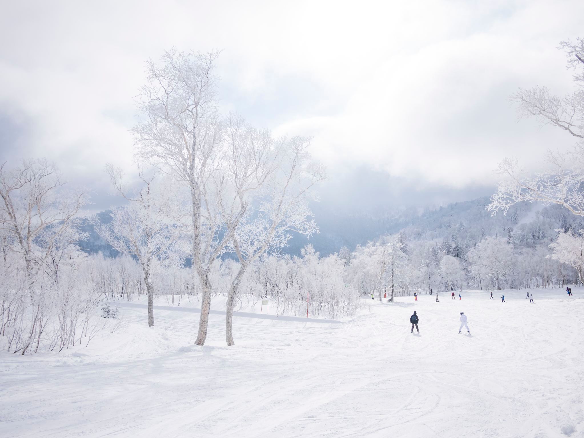 北海道札幌国際プライベートスキーレッスン【国際認証プロコーチ|中国語/英語対応】