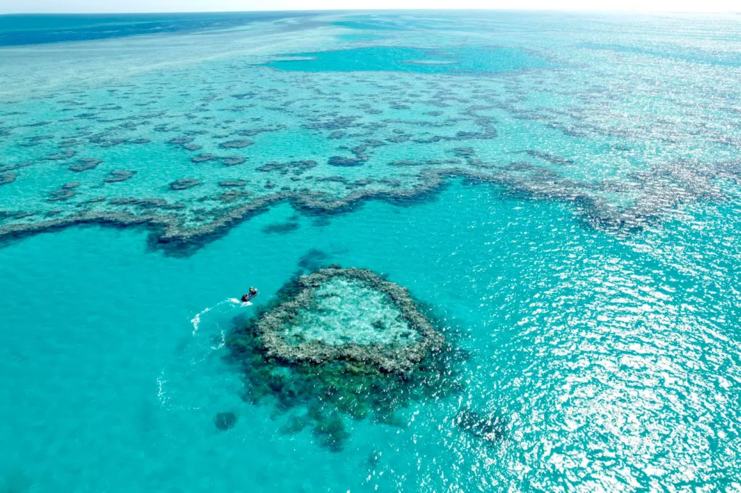 [공식 사이트 직연결] 하디 리프 항 대보초 당일 치기 여행 하트 리프 선택 출발지(성령 군도)