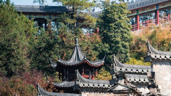 景德鎮丙丁柴窯+寒溪村+瑤裡古鎮風景區+瓷宮一日遊【上門接丨當地司機】