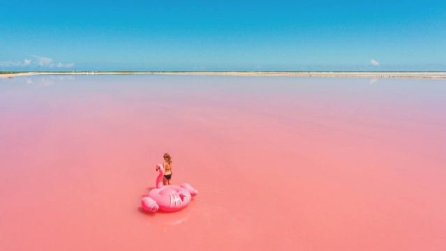 Mexico · Cancun Pink Lake + Xcaret Wildlife Park Lawatan Sehari Sewaan Peribadi Eksklusif