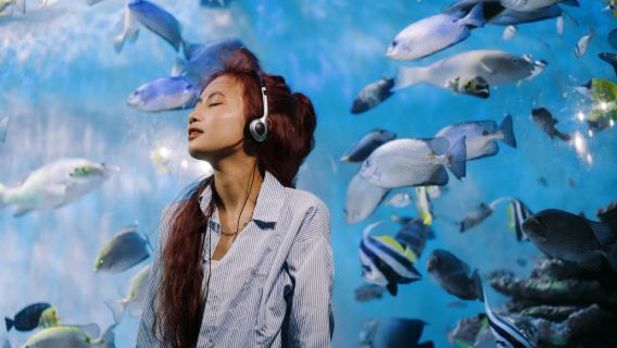 Nha Trang: Tour por los lugares destacados de la ciudad con guía local