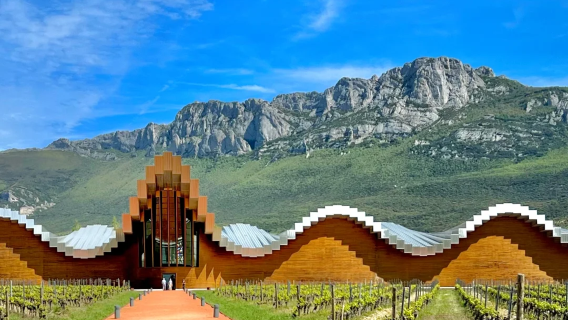 【西班牙】畢爾巴鄂-拉里奧哈一日遊|頂級酒莊品酒