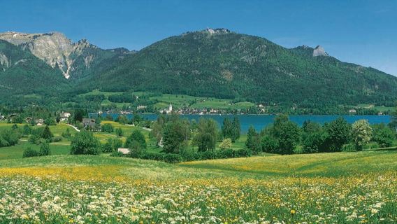 Salzburg: Original Sound of Music Tour