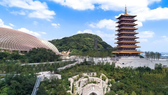 Van perniagaan | Pemandu pelancong berbahasa Inggeris | Makam Sun Yat-sen + Gunung Niu Shou + Kuil Confucius + Taman Zhan