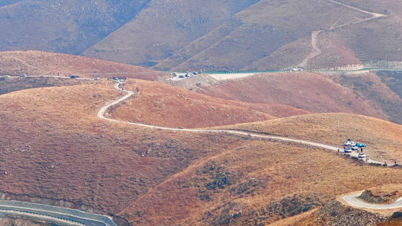 新鄉市區包車來回｜輝縣張北草原一日包車遊（多車型可選）