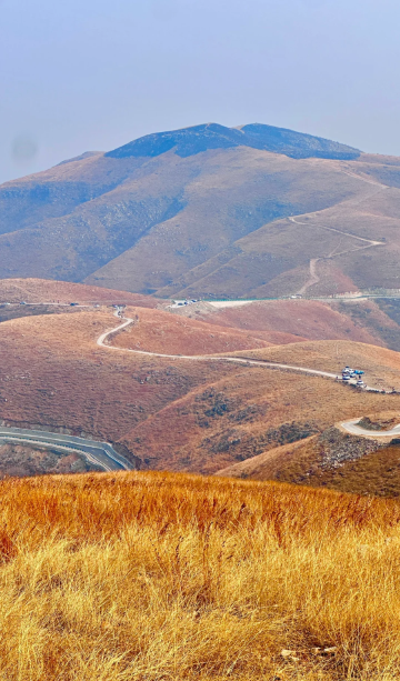新鄉市區包車來回｜輝縣張北草原一日包車遊（多車型可選）