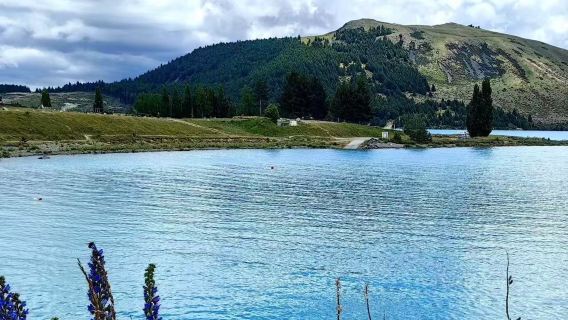 紐西蘭皇后鎮來回瓦納卡湖+薰衣草莊園 暢遊南北島 中文包車