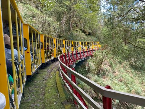 台北出發太平山+蹦蹦車+見晴古道+鳩之澤溫泉 - 包車一日遊