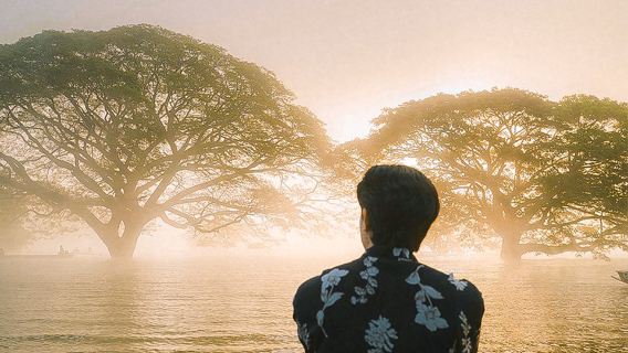 ทัวร์ 1 วัน ต้นไม้ฝนในน้ำสุดฮิตในเชียงใหม่ | สามารถเลือกผสมผสานกับ อุทยานแห่งชาติน้ำตกบัวตอง-น้ำพุเจ็ดสี / คาเฟ่ช้าง / น้ำตกเทวดา