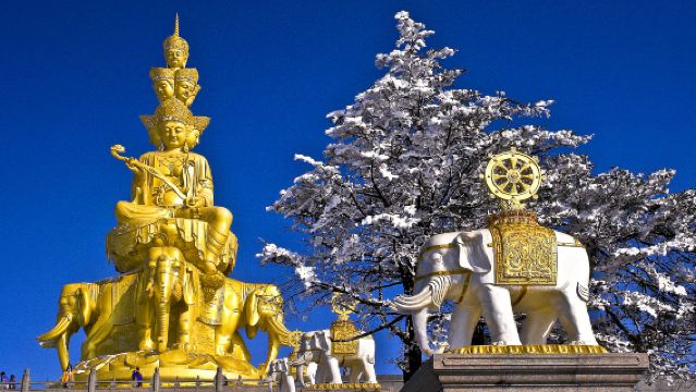 Однодневный тур из Чэнду на гору Эмэй: Погружение в духовный мир [Входной билет и частный автомобиль]