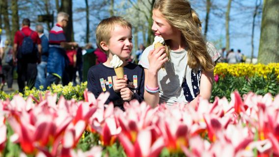 Keukenhof (Jardín de la Cocina): Entrada + traslado de ida y vuelta desde Róterdam