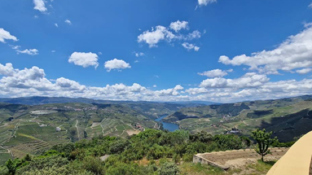 葡萄牙波爾圖-杜羅河谷-皮尼揚葡萄梯田【中文專車-愜意舒適】