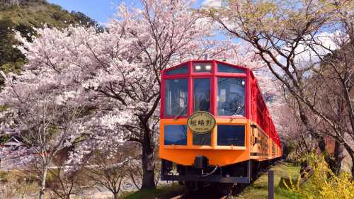 京都嵯峨野トロッコ列車+保津川下り+嵐山シティウォークワンデーツアー